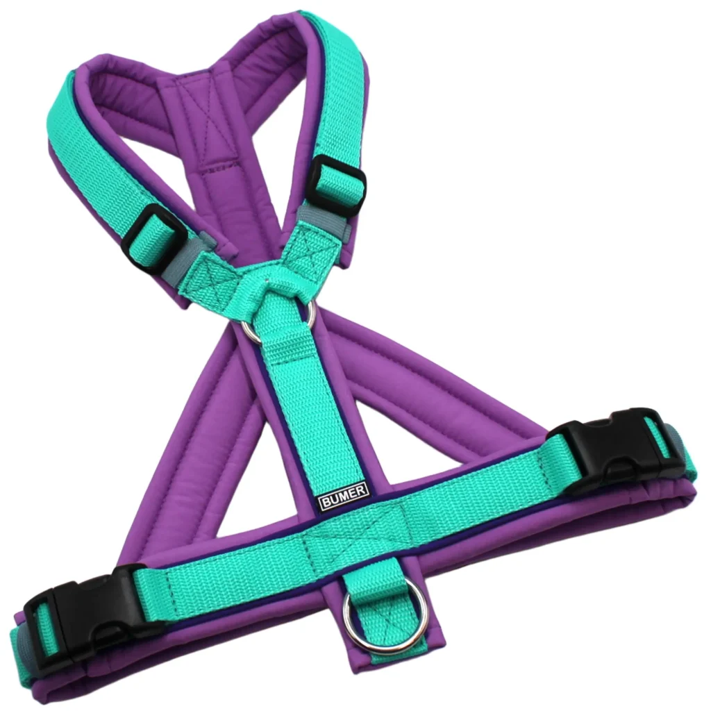BUMER Hundegeschirr, Softshell Hortensienlila, Größe M/L, Gurtband PREMIUM X Minze, Ringe silberfarbig (Edelstahl), Schnallen schwarz (DURAFLEX®), Paspel Lila-Viola (komplett)