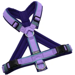 BUMER Hundegeschirr, Softshell Lila Viola, Größe S, Gurtband PREMIUM X Violett Veil, Ringe silberfarbig (Edelstahl), Schnallen schwarz (DURAFLEX®), Paspel Minty Breeze (komplett)