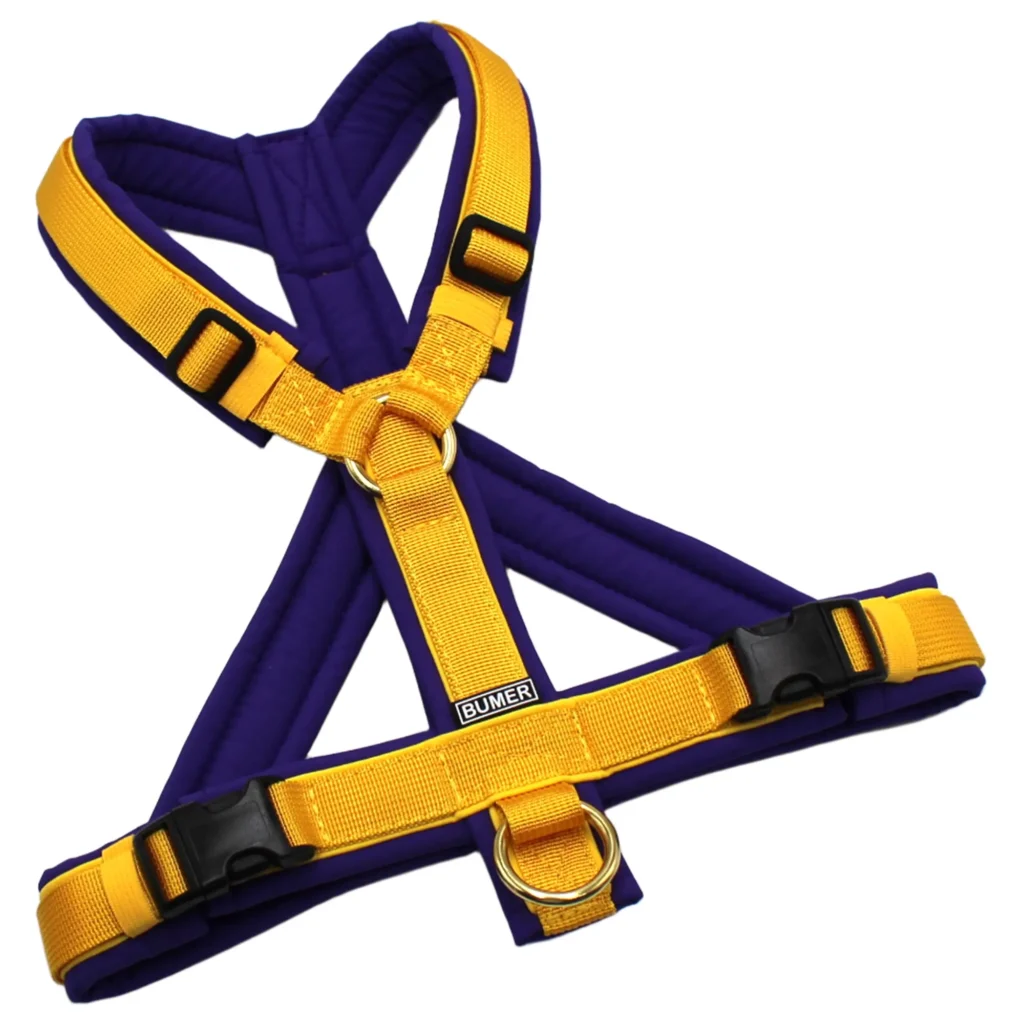 BUMER Hundegeschirr, Softshell Lila Viola, Größe S/M, Gurtband PREMIUM Sunburst Yellow, Ringe goldfarbig, Schnallen schwarz (DURAFLEX®), Paspel Sonnenblume (komplett)