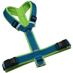 BUMER Hundegeschirr, Softshell Lime, Größe M/L, Gurtband PREMIUM X Petrol, Ringe silberfarbig (Edelstahl), Schnallen schwarz (DURAFLEX®), Paspel Himmelblau (komplett)