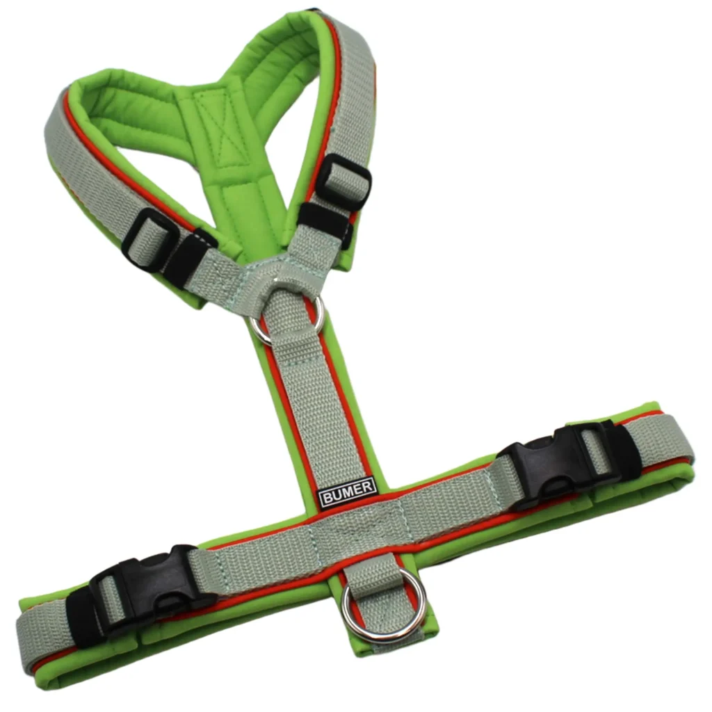 BUMER Hundegeschirr, Softshell Lime, Größe S, Gurtband Helles Salbei, Ringe silberfarbig (Edelstahl), Schnallen schwarz (DURAFLEX®), Paspel Kürbisorange (komplett)