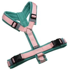 BUMER Hundegeschirr, Softshell Minty Breeze, Größe S, Gurtband PREMIUM Blush Petal, Ringe silberfarbig (Edelstahl), Schnallen schwarz (DURAFLEX®). Paspel Türkis Twirl (komplett)