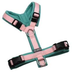 BUMER Hundegeschirr, Softshell Minty Breeze, Größe XXS/XS, Gurtband PREMIUM Blush Petal, Ringe silberfarbig (Edelstahl), Schnallen schwarz (DURAFLEX®)