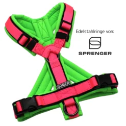 BUMER Hundegeschirr, Softshell Neongrün, Größe XXS/XS, Gurtband PREMIUM Vibrant Magenta, Ringe schwarz (Edelstahl), Schnallen schwarz (DURAFLEX®), Paspel schwarz (komplett)