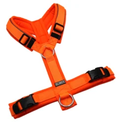 BUMER Hundegeschirr, Softshell Neonorange, Größe S, Gurtband PREMIUM Electric Pumpkin, Ringe silberfarbig (Edelstahl), Schnallen schwarz (DURAFLEX®), Paspel grau REFLEX)