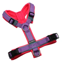 BUMER Hundegeschirr, Softshell Neonpink, Größe XXS/XS, Gurtband PREMIUM X Violett, Ringe silberfarbig (Edelstahl), Schnallen schwarz (DURAFLEX®). Paspel Minty Breeze (komplett)