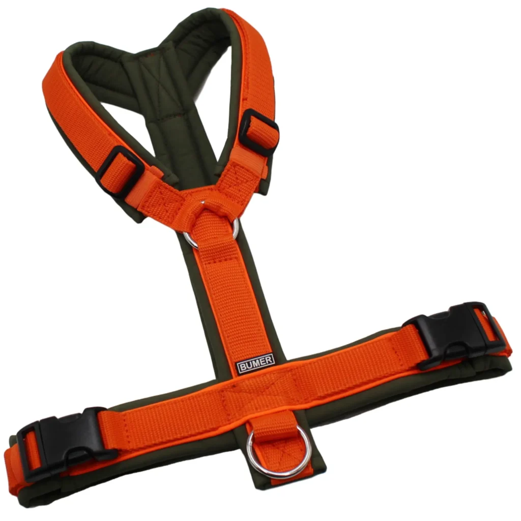 BUMER Hundegeschirr, Softshell Olive, Größe M/L, Gurtband Orange, Ringe silberfarbig (Edelstahl), Schnallen schwarz (DURAFLEX®), Paspel Neonorange (komplett)