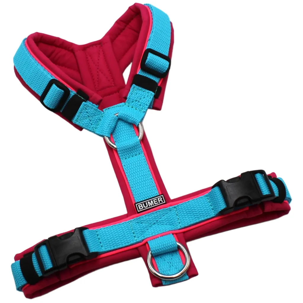 BUMER Hundegeschirr, Softshell Pink, Größe S, Gurtband PREMIUM X Glacier Breeze, BUMER Hundegeschirr, Softshell Pink, Größe XS/S, Gurtband PREMIUM X Glacier Breeze, Ringe silberfarbig (Edelstahl), Schnallen schwarz (DURAFLEX®), Paspel Neonpink (komplett)Ringe silberfarbig (Edelstahl), Schnallen schwarz (DURAFLEX®), Paspel Neonpink (komplett)