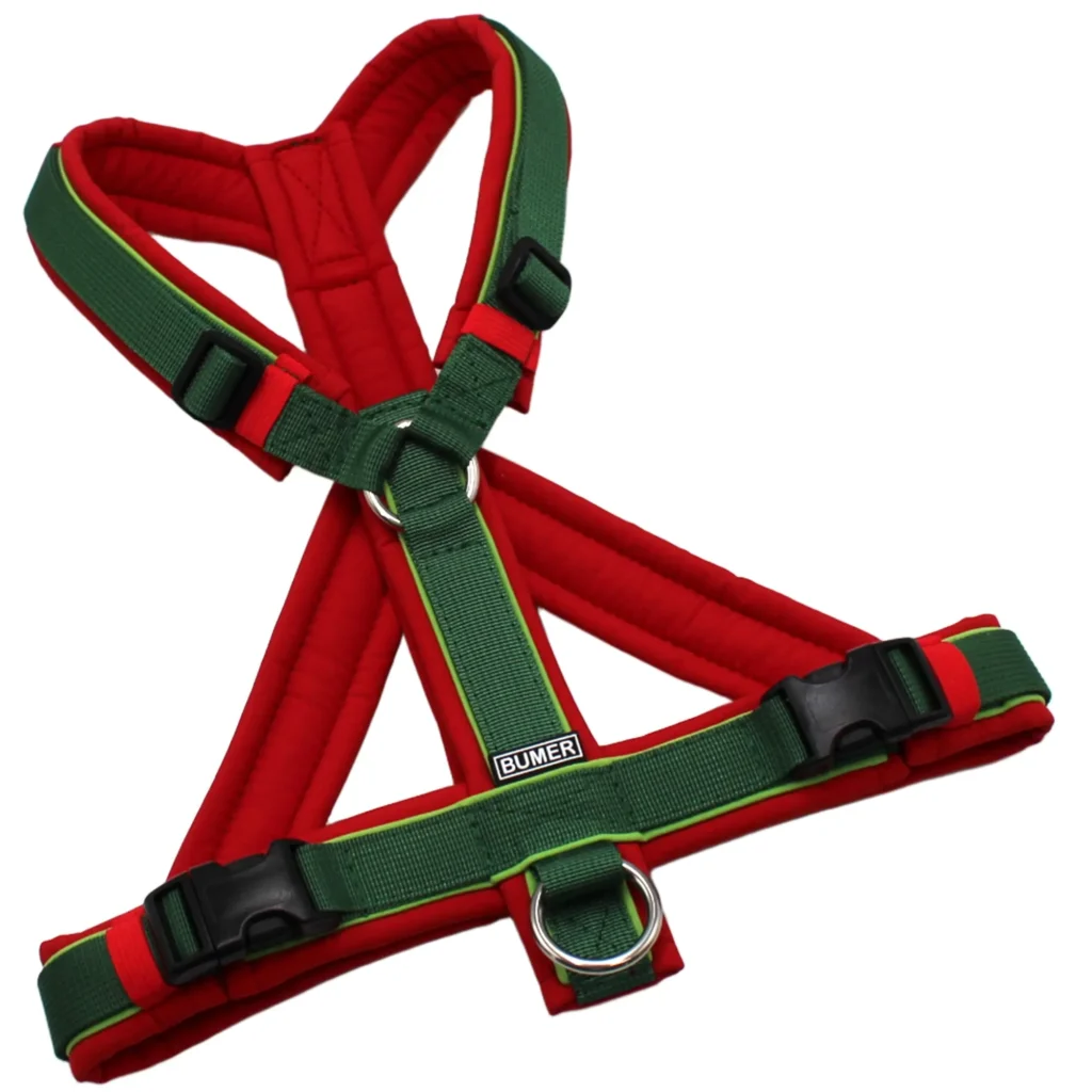 BUMER Hundegeschirr, Softshell Rot, Größe S/M, Gurtband PREMIUM Evergreen Dream, Ringe silberfarbig (Edelstahl), Schnallen schwarz (DURAFLEX®), Paspel Grannys Green (komplett)