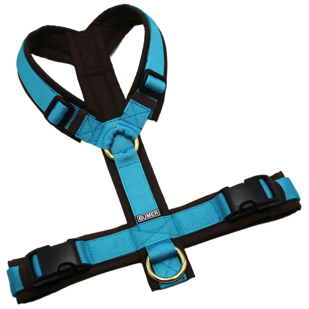 BUMER Hundegeschirr, gepolstert, Größe M, Gurtband PREMIUM Blue Lagoon, OXFORD Ebenholzbraun, Ringe goldfarbig, Schnallen schwarz (DURAFLEX®), Gummi, Dunkelbraun