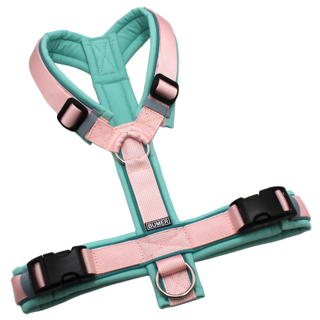 BUMER Hundegeschirr, gepolstert, Größe M, Gurtband PREMIUM Blush Petal, Softshell Jadenluft, Ringe silberfarbig (Edelstahl), Schnallen schwarz (DURAFLEX®), Paspel Türkis Twirl (komplett)