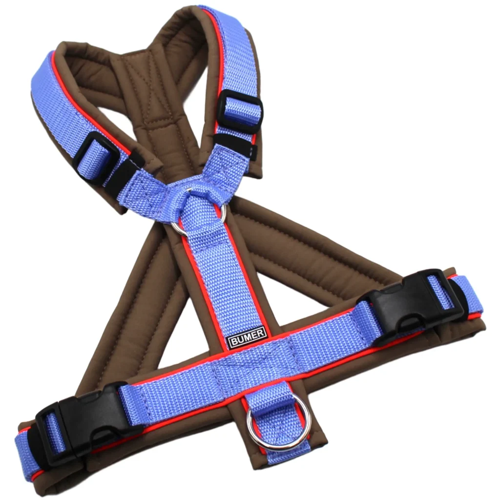 BUMER Hundegeschirr, gepolstert, Größe M, Gurtband PREMIUM X Light Blue, Softshell Pumpseed Taupe, Ringe silberfarbig (Edelstahl), Schnallen schwarz (DURAFLEX®), Paspel Neonrot (komplett)