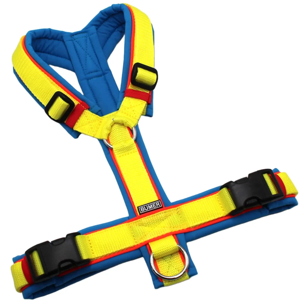 BUMER Hundegeschirr, gepolstert, Größe M, Gurtband PREMIUM X Zitrinzauber, Softshell Eisvogelblau, Ringe silberfarbig (Edelstahl), Schnallen schwarz (DURAFLEX®), Paspel Neonrot (komplett)