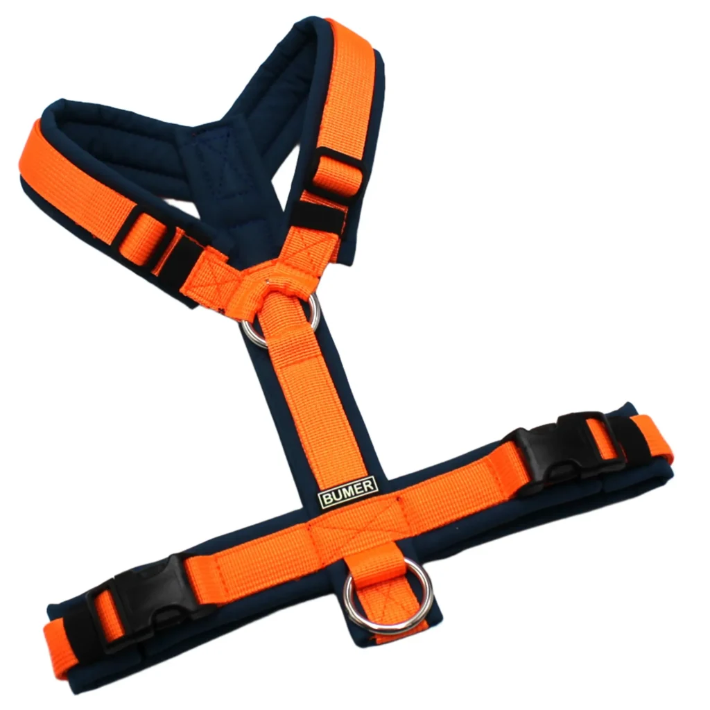 BUMER Hundegeschirr, gepolstert, Größe S, Gurtband PREMIUM Electric Pumpkin, Softshell Petrolshade, Ringe silberfarbig (Edelstahl), Schnallen schwarz (DURAFLEX®)