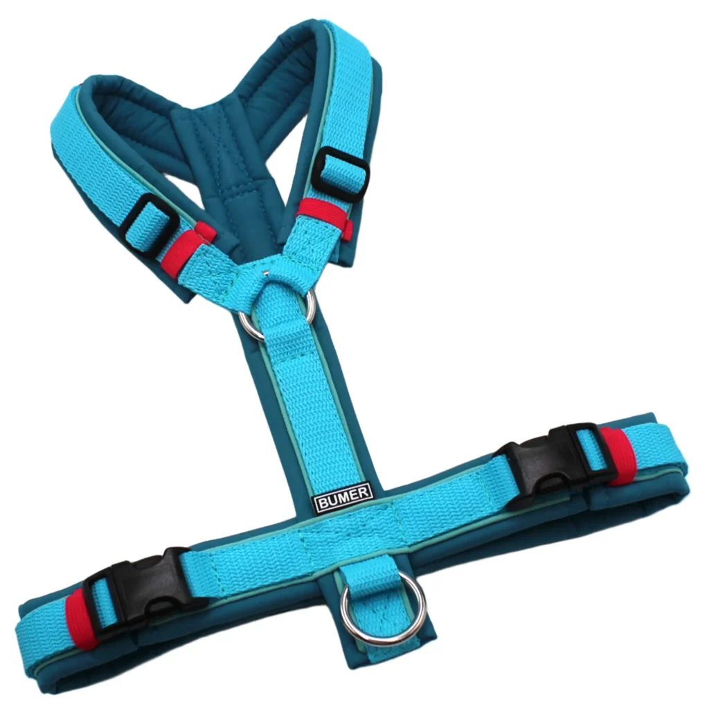 BUMER Hundegeschirr, gepolstert, Größe S/M, Gurtband PREMIUM X Glacier Breeze, Softshell Curacao Splash, Ringe silberfarbig (Edelstahl), Schnallen schwarz (DURAFLEX®), Paspel Minty Breeze (komplett)