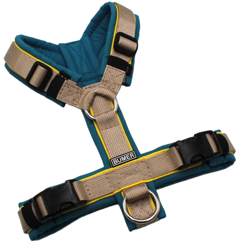 BUMER Hundegeschirr, gepolstert, Größe XS, Gurtband PREMIUM Soft Beige, Softshell Curacao Splash, Ringe silberfarbig (Edelstahl), Schnallen schwarz (DURAFLEX®), Paspel Sonnenblume (komplett)