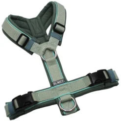 BUMER Hundegeschirr, gepolstert, Größe XS/S, Gurtband Helles Salbei, Softshell Schilfgrün, Ringe silberfarbig (Edelstahl), Schnallen schwarz (DURAFLEX®), Paspel Jadenluft (komplett)