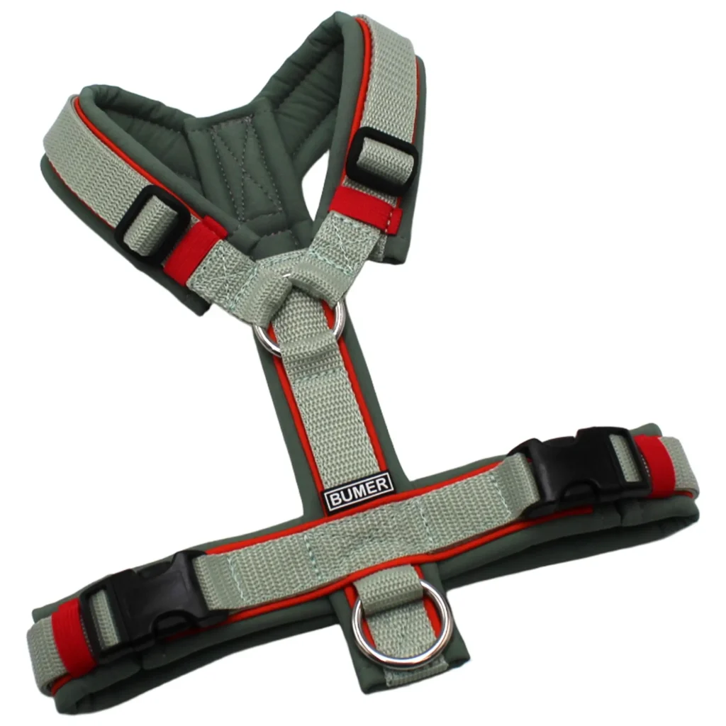 BUMER Hundegeschirr, gepolstert, Größe XS/S, Gurtband Helles Salbei, Softshell Schilfgrün, Ringe silberfarbig (Edelstahl), Schnallen schwarz (DURAFLEX®), Paspel Kürbisorange (komplett)