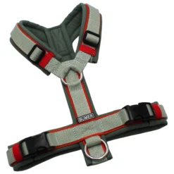BUMER Hundegeschirr, gepolstert, Größe XS/S, Gurtband Helles Salbei, Softshell Schilfgrün, Ringe silberfarbig (Edelstahl), Schnallen schwarz (DURAFLEX®), Paspel Kürbisorange (komplett)