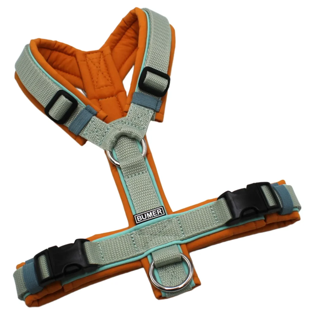 BUMER Hundegeschirr, gepolstert, Größe XS/S, Gurtband Helles Salbei, Softshell Zimtorange Ringe silberfarbig (Edelstahl), Schnallen schwarz (DURAFLEX®), Paspel Jadenluft (komplett)