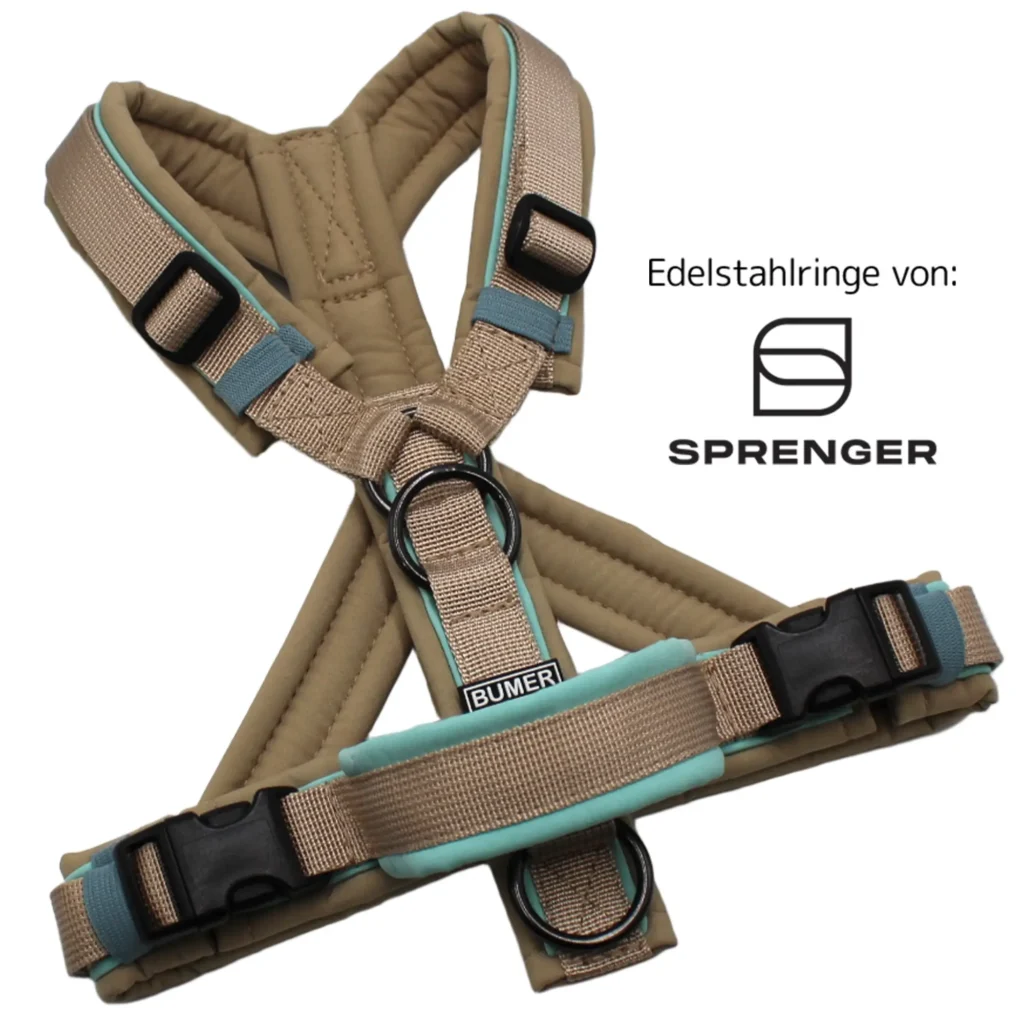 BUMER Hundegeschirr, gepolstert, Größe XS/S, Gurtband PREMIUM Softbeige, Softshell Sandgreige, Ringe schwarz (Edelstahl), Schnallen schwarz (DURAFLEX®)
