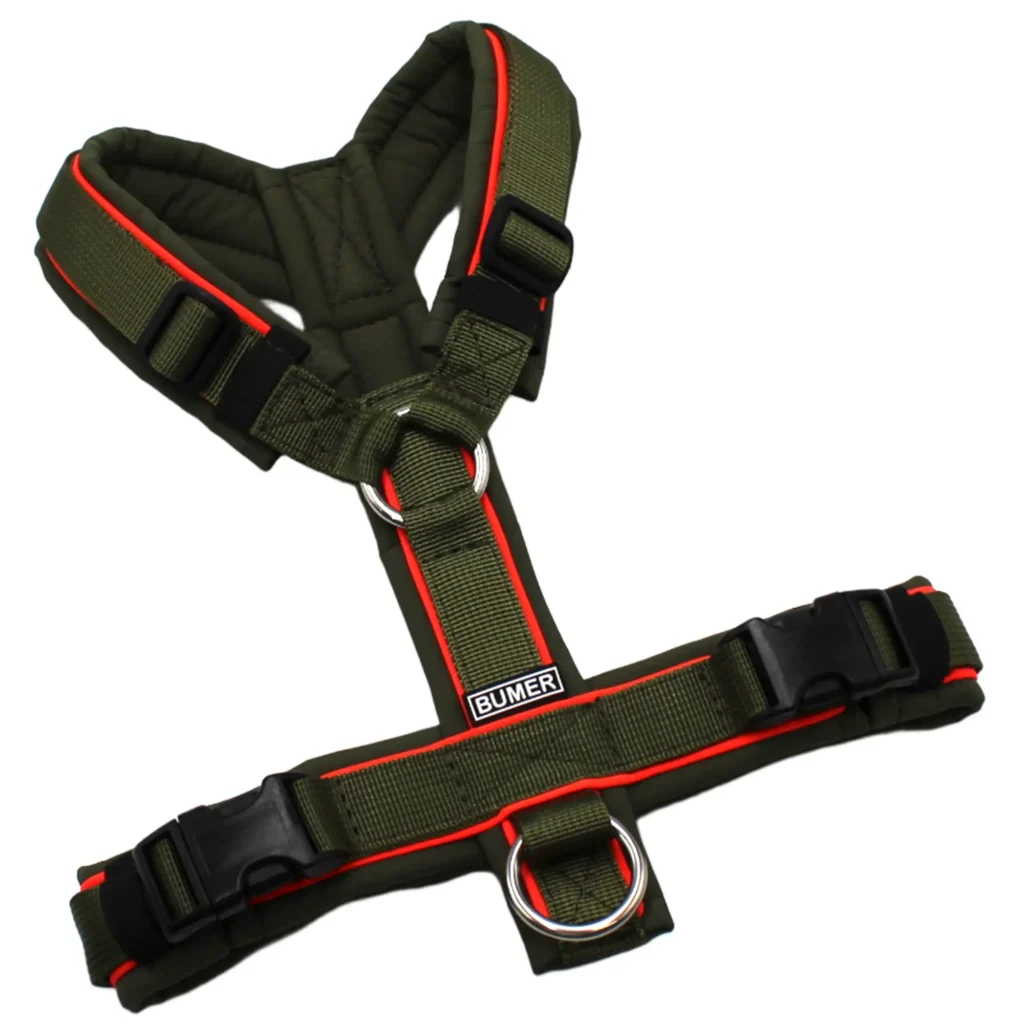 BUMER Hundegeschirr, gepolstert, Größe XS/S, Gurtband PREMIUM Wiesensalbei, Softshell Olive, Ringe silberfarbig (Edelstahl), Schnallen schwarz (DURAFLEX®), Paspel Neonrot (komplett)