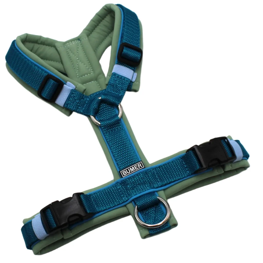 BUMER Hundegeschirr, gepolstert, Größe XS/S, Gurtband PREMIUM X Petrol, Softshell Eukalyptus, Ringe silberfarbig (Edelstahl), Schnallen schwarz (DURAFLEX®), Paspel Himmelblau (komplett)