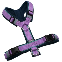 BUMER Hundegeschirr, gepolstert, Größe XS/S, Gurtband PREMIUM X Violett, Softshell Petrolshade, Ringe silberfarbig (Edelstahl), Schnallen schwarz (DURAFLEX®), Paspel Minty Breeze (komplett)