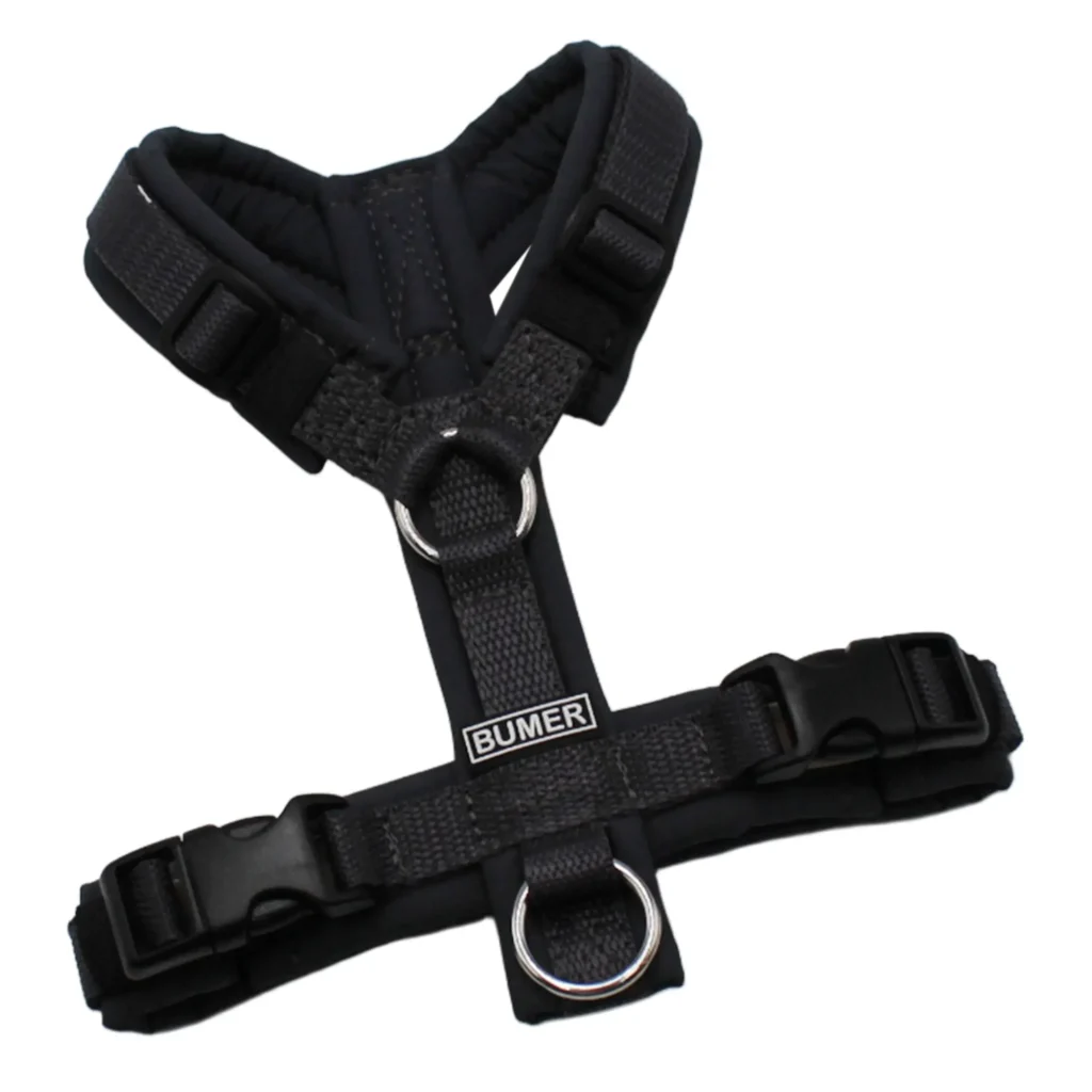 BUMER Hundegeschirr, gepolstert, Größe XXS, Gurtband Anthrazit, Softshell Cool Grey, Ringe silberfarbig (Edelstahl), Schnallen schwarz (DURAFLEX®)