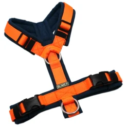 BUMER Hundegeschirr, gepolstert, Größe XXS, Gurtband PREMIUM Electric Pumpkin, Softshell Petrolsplash, Ringe silberfarbig (Edelstahl), Schnallen schwarz (DURAFLEX®)