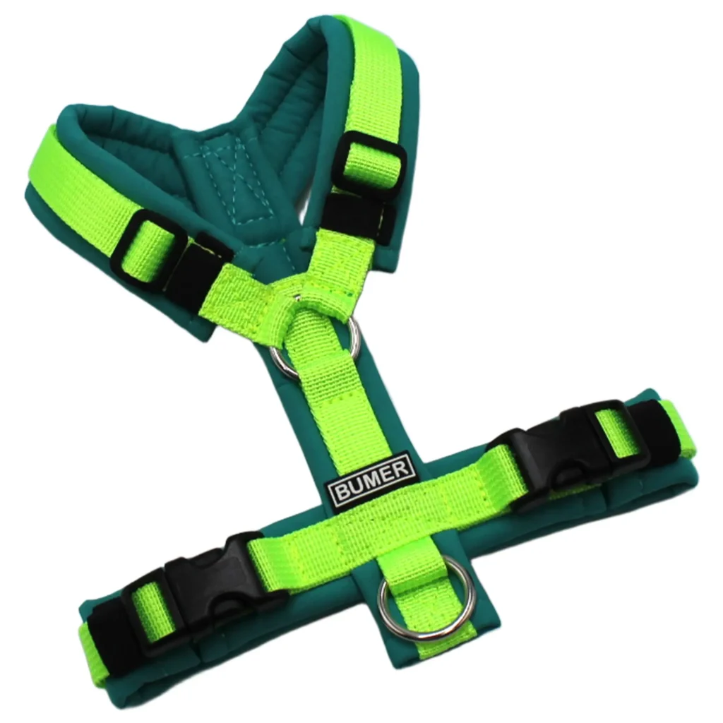 BUMER Hundegeschirr, gepolstert, Größe XXS, Gurtband PREMIUM Neonlime, Softshell Atollblau, Ringe silberfarbig (Edelstahl), Schnallen schwarz (DURAFLEX®) (Kopie)