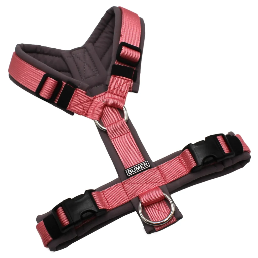 BUMER Hundegeschirr, gepolstert, Größe XXS, Gurtband PREMIUM Perlmutt Rosa, Softshell Grau, Ringe silberfarbig (Edelstahl), Schnallen schwarz (DURAFLEX®)