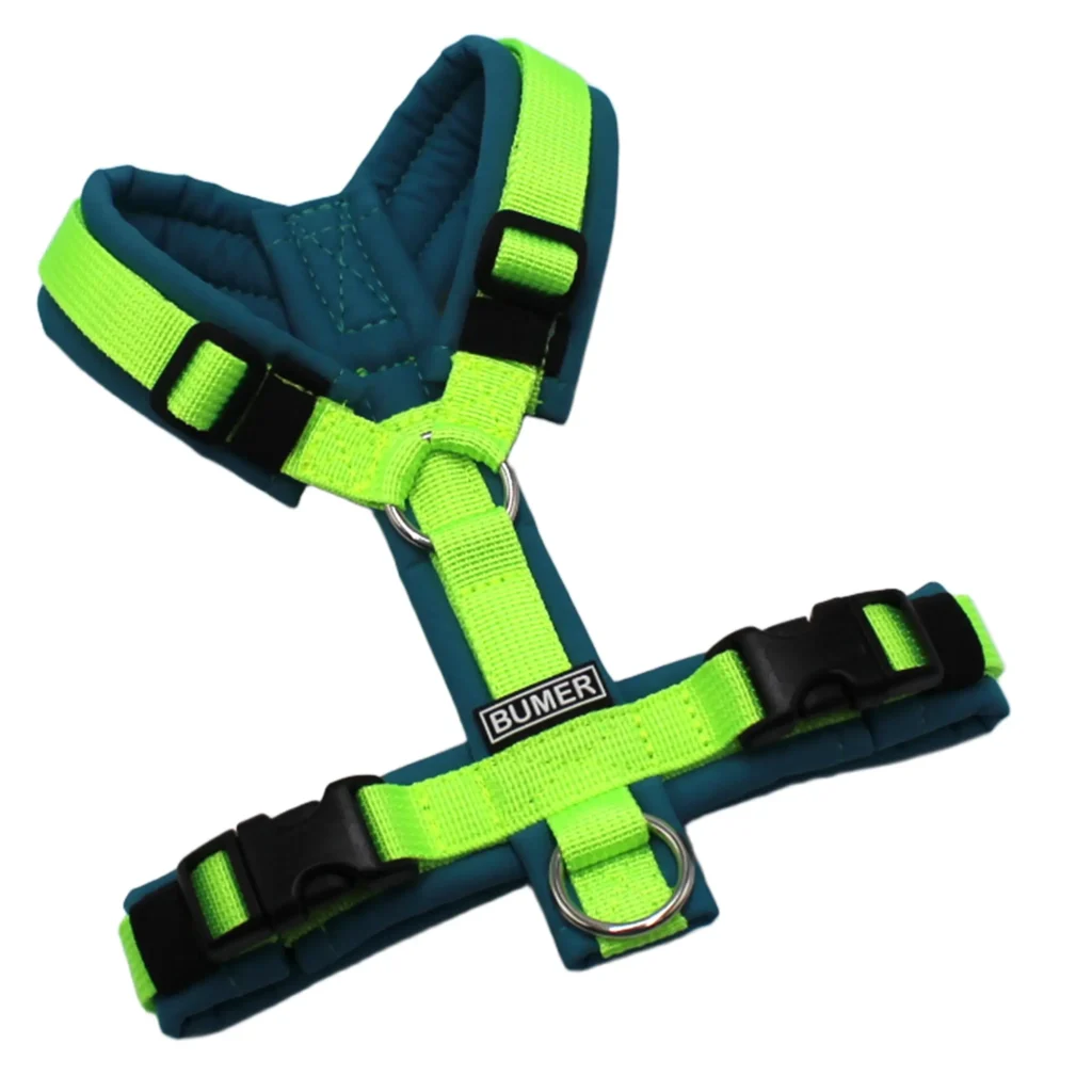 BUMER Hundegeschirr, gepolstert, Größe XXS/XS, Gurtband PREMIUM Neonlime, Softshell Curacao Splash, Ringe silberfarbig (Edelstahl), Schnallen schwarz (DURAFLEX®)