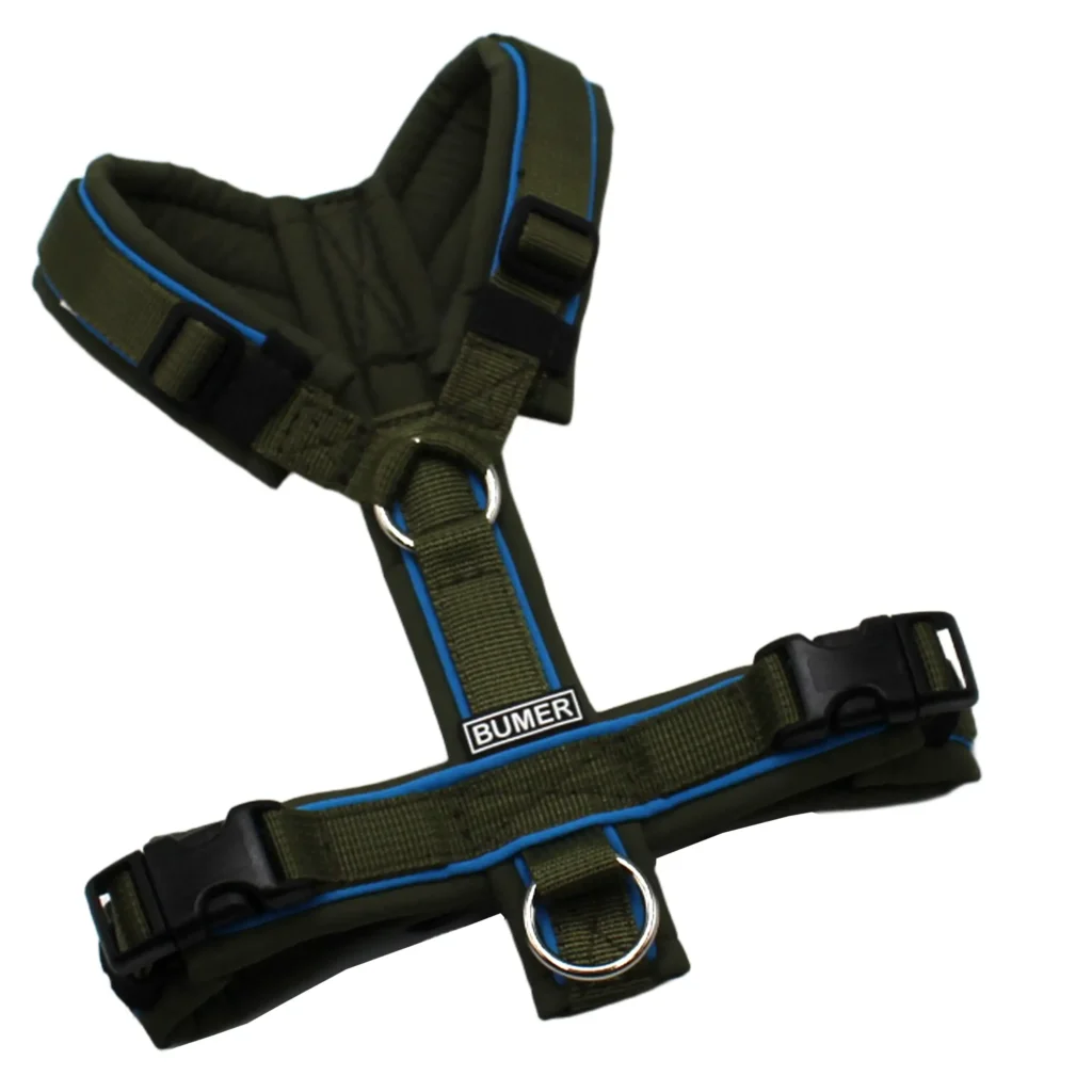 BUMER Hundegeschirr, gepolstert, Größe XXS/XS, Gurtband PREMIUM Wiesen Salbei, Softshell Olive, Ringe silberfarbig (Edelstahl), Schnallen schwarz (DURAFLEX®), Paspel Eisvogelblau (komplett)