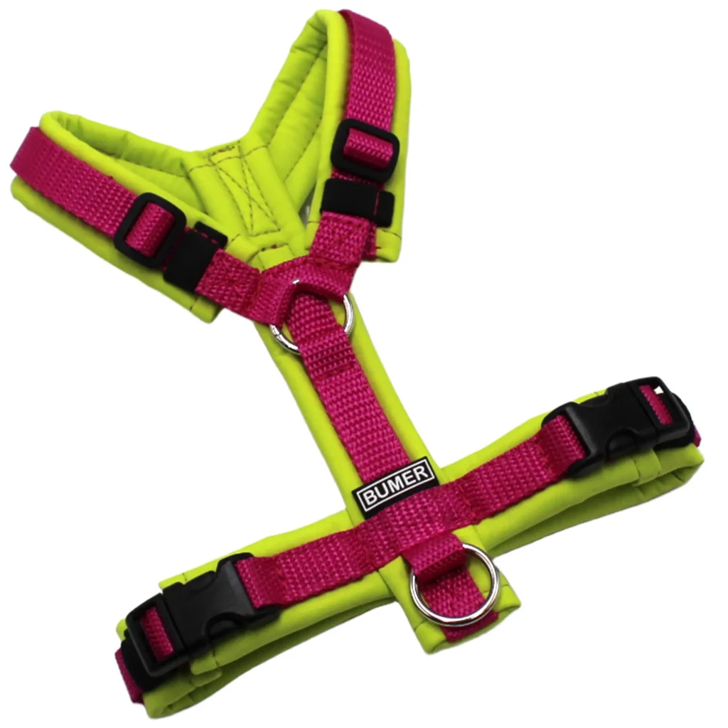 BUMER Hundegeschirr, gepolstert, Größe XXS/XS, Gurtband PREMIUM X Flamingo Flourish, Softshell Zitronenfalter, Ringe silberfarbig (Edelstahl), Schnallen schwarz (DURAFLEX®)