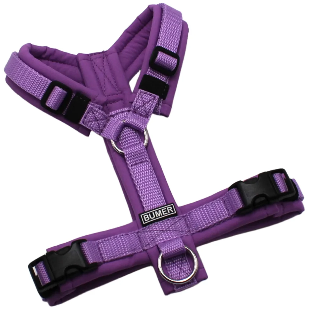 BUMER Hundegeschirr, gepolstert, Größe XXS/XS, Gurtband Violett, Softshell Hortensienlila, Ringe silberfarbig (Edelstahl), Schnallen schwarz (DURAFLEX®)