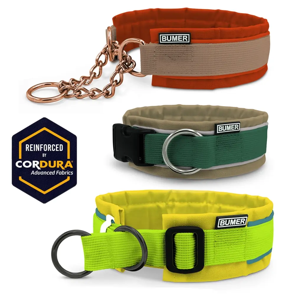 CORDURA® Hundehalsband, Steck- oder Zug-Stopp Halsband