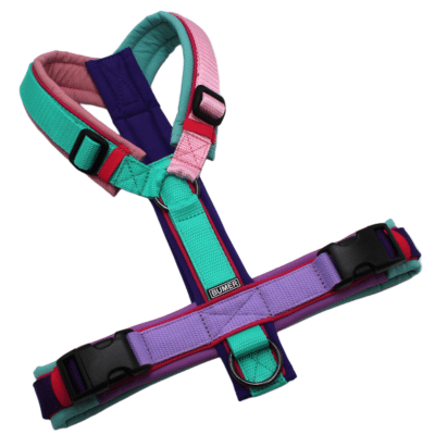 BUMER Hundegeschirr, Größe M, Gurtband: MULTICOLOR, Softshell: MULTICOLOR, Ringe: schwarz (Edelstahl), Schnallen: schwarz (DURAFLEX®), Paspel: Pink (komplett)
