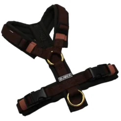 BUMER Hundegeschirr, Größe XXS, Gurtband Standard PLUS Dunkelbraun, Softshell Ebenholzbraun, Ringe goldfarbig, Schnallen schwarz (DURAFLEX®)