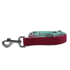 BUMER Hundeleine, 190cm (3fach verstellbar), Gurtband PREMIUM Himbeer Sorbet, Softshell Jadenluft, Ringe silberfarbig (Edelstahl)