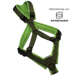 BUMER Trailgeschirr, Größe M, Gurtband PREMIUM Wiesensalbei, Softshell Grannys Green, Ringe schwarz (Edelstahl), Schnallen schwarz (DURAFLEX®)