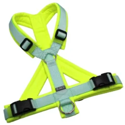 BUMER Hundegeschirr, Größe M, Gurtband PREMIUM Hellmint, Softshell Neongelb, Ringe silberfarbig (Edelstahl), Schnallen schwarz (DURAFLEX®)