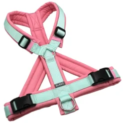 BUMER Hundegeschirr, Größe M, Gurtband PREMIUM Hellmint, Softshell Zuckerwatte, Ringe silberfarbig (Edelstahl), Schnallen schwarz (DURAFLEX®)