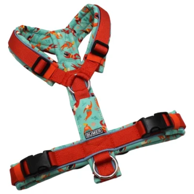 BUMER Hundegeschirr, Größe S, Gurtband PREMIUM Scarlett Essence, Softshell: AquaSol, Ringe silberfarbig (Edelstahl), Schnallen schwarz (DURAFLEX®)