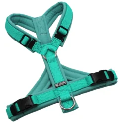 BUMER Hundegeschirr, Größe S, Gurtband PREMIUM X Minze, Softshell Minty Breeze, Ringe silberfarbig (Edelstahl), Schnallen schwarz (DURAFLEX®)