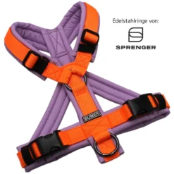 BUMER Hundegeschirr, Größe XS, Gurtband: PREMIUM Electric Pumpkin, Softshell: Fliedertraum, Ringe: schwarz (Edelstahl), Schnallen: schwarz (DURAFLEX®)