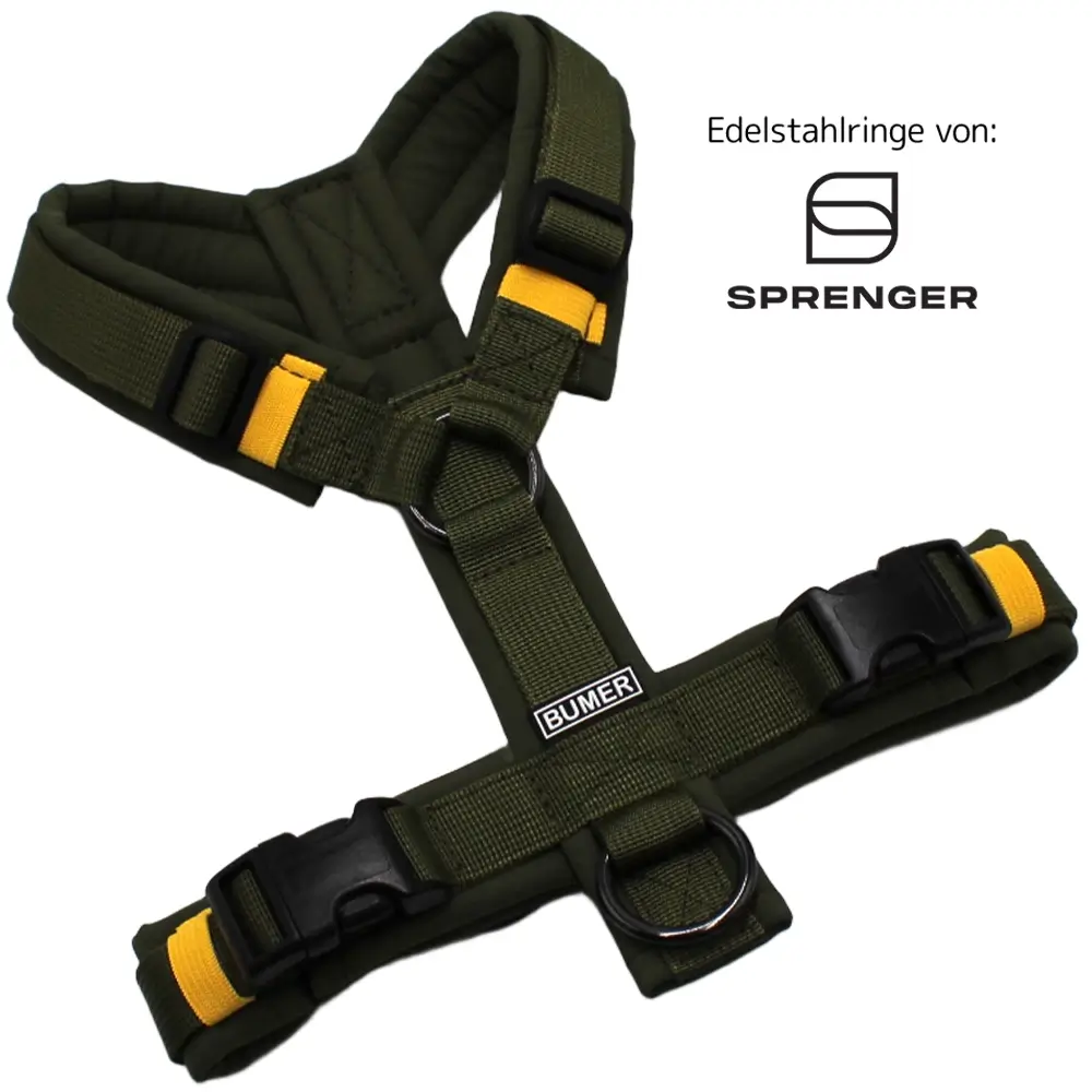 BUMER Hundegeschirr, Größe XS, Gurtband PREMIUM Wiesensalbei, Softshell Olive, Ringe schwarz (Edelstahl), Schnallen schwarz (DURAFLEX®)