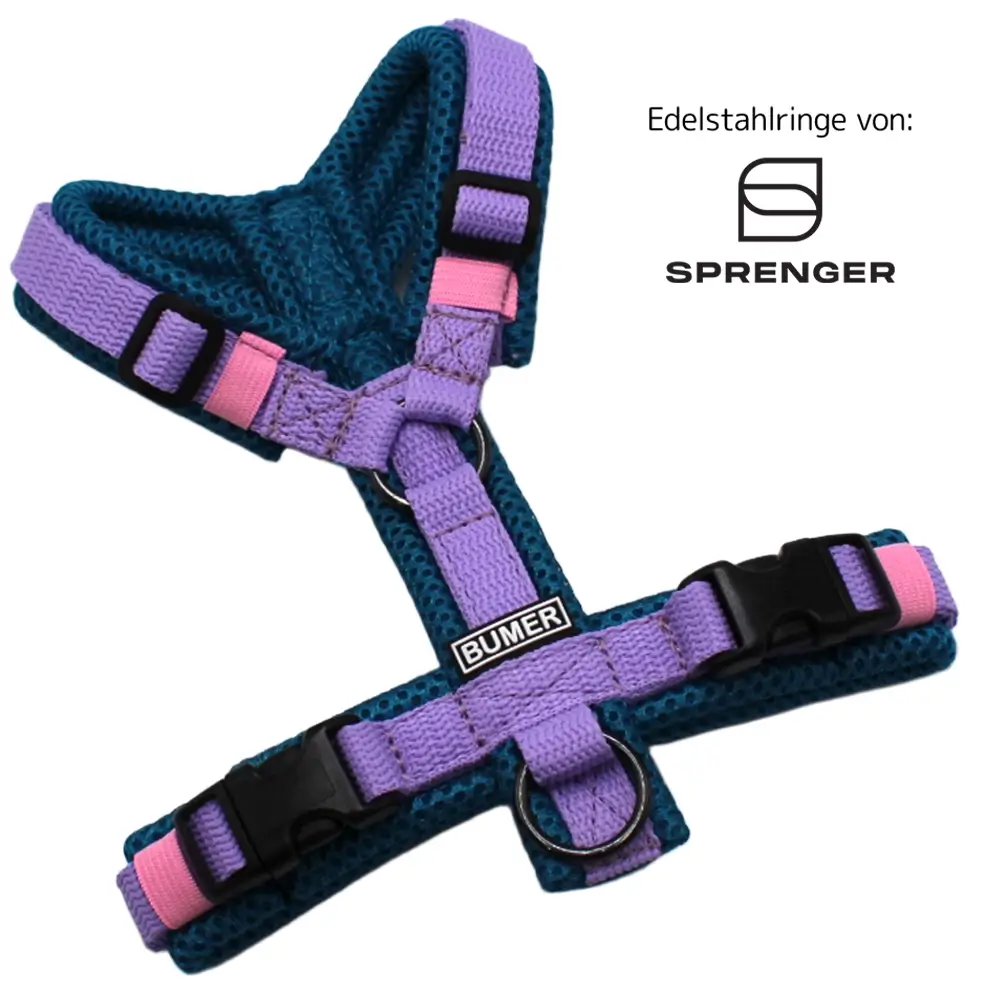 BUMER Hundegeschirr, Größe XXS, Gurtband PREMIUM X Violet Veil, Mesh Petrolgrün, Ringe schwarz (Edelstahl), Schnallen schwarz (DURAFLEX®)