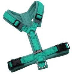 BUMER Hundegeschirr, Größe XXS/XS, Gurtband PREMIUM X Minze, Softshell Minty Breeze, Ringe silberfarbig (Edelstahl), Schnallen schwarz (DURAFLEX®)