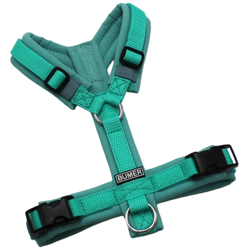 BUMER Hundegeschirr, Größe XXS/XS, Gurtband PREMIUM X Minze, Softshell Minty Breeze, Ringe silberfarbig (Edelstahl), Schnallen schwarz (DURAFLEX®)